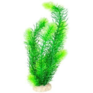 AQUA DELLA PLANTS Hornwort (M) - Dark Green/Light Green