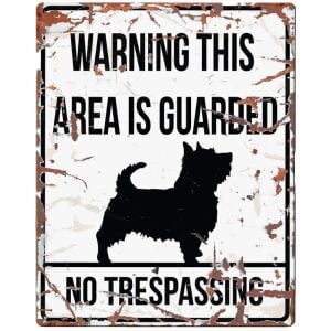 D&D HOMECOLLECTION WARNING  SIGN SQUARE TERRIER WHITE - English Version