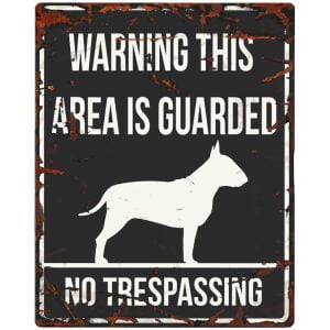 D&D HOMECOLLECTION WARNING  SIGN SQUARE BULL TERRIER BLACK - English Version