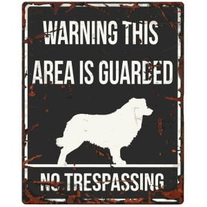 D&D HOMECOLLECTION WARNING  SIGN SQUARE COLLIE BLACK - English Version