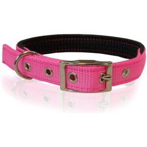 Dog collar neoprene metal buckler 1.6-2.5cm*35-65cm