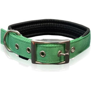 Κολάρα με με μεταλλικό κούμπωμα Dog collar neoprene metal buc. L.Green Large 25mmx50cm