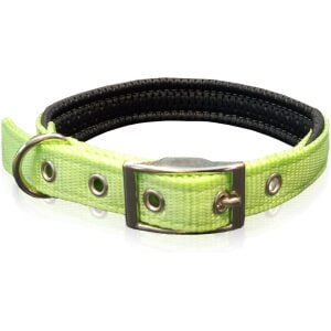 Κολάρα με με μεταλλικό κούμπωμα & Neoprene επένδυση PET INTEREST Dog collar neoprene metal buc. Fl.Green 2X Large 25mmx60cm