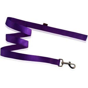 Μονόχρωμος οδηγός μονής στρώσης PET INTEREST Dog leash plain Purple X Small 1x120cm