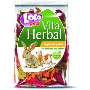 Λιχουδιά για κουνέλια και τρωκτικά LOLO PETS Vita Herbal-Vegetable Patch 100gr