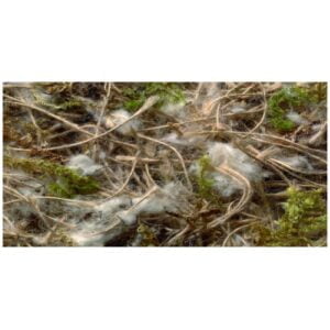 Sisal Fibre Jute-Cotton-Moss 100g