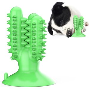 Οδοντικό παιχνίδι για σκύλους σε σχήμα κάκτου πράσινο 128x92x92mm