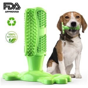 Οδοντικό παιχνίδι για σκύλους από TPR υλικό paw-shaped dog toothbrush large green 156x155x50mm