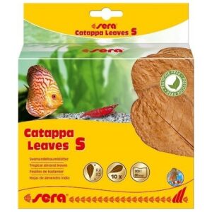 sera Catappa Leaves 14cm 12pcs  Small