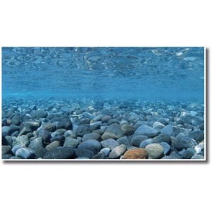 AMTRA DOUBLE BACKGROUND VISION BLISTER 45X100CM