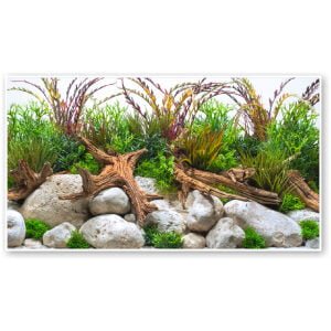 AMTRA DOUBLE BACKGROUND RIVER BLISTER 30X60CM