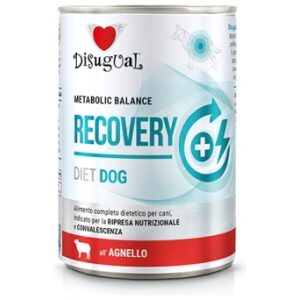 Κονσέρβα σκύλου Disugual Diet Dog - Recovery Με Αρνί 400gr