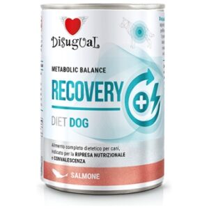Disugual Diet Dog - Recovery Με Σολομό 400gr
