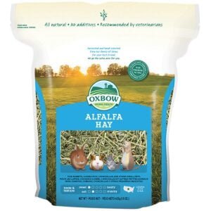 Oxbow χόρτο για τρωκτικά Alfalfa Hay 425gr