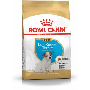 Royal Canin Breed Health Nutrition Jack Russel 1.5kg Junior Ξηρά τροφή για σκύλους