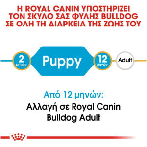 Royal Canin Breed Health Nutrition French Bulldog 3kg Puppy Ξηρά τροφή για σκύλους