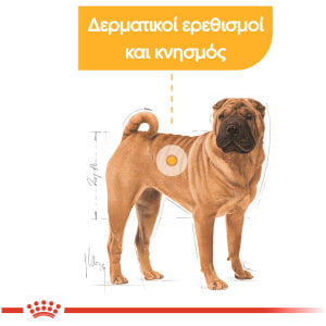 Royal Canin Canine Care Nutrition Medium Dermacomfort 3kg Ξηρά τροφή για σκύλους