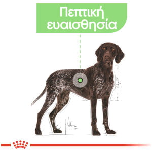 Royal Canin Medium Digestive Care Adult 3kg Ξηρά τροφή για σκύλους