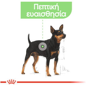 Royal Canin Canine Care Nutrition Mini Digestive Care 3kg Ξηρά τροφή για σκύλους